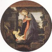 Sandro Botticelli Madonna in Adoration of the Christ Child (mk36) painting